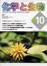 Vol.40,No.3,2002