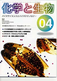 Vol.41,No.4,2003