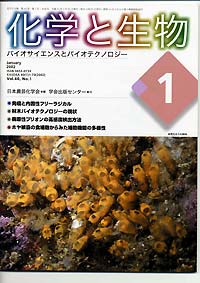Vol.40,No.1,2002