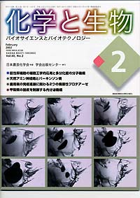 Vol.40,No.2,2002