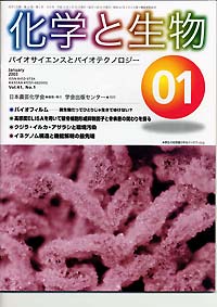 Vol.40,No.3,2002