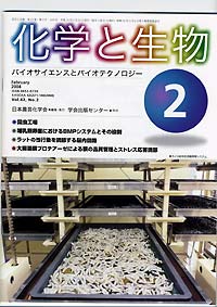 Vol.42,No_2,2004