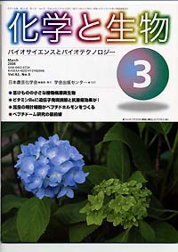 Vol.42,No_3,2004