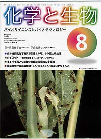 Vol.42,No_8,2004
