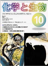 Vol.42,No_10,2004