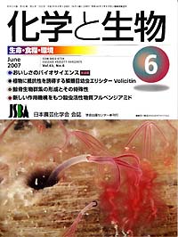 Vol.45,No_06,2007