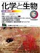 Vol.45 No.06