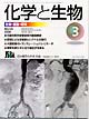 Vol.46 No.03