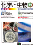 Vol.63 No.11